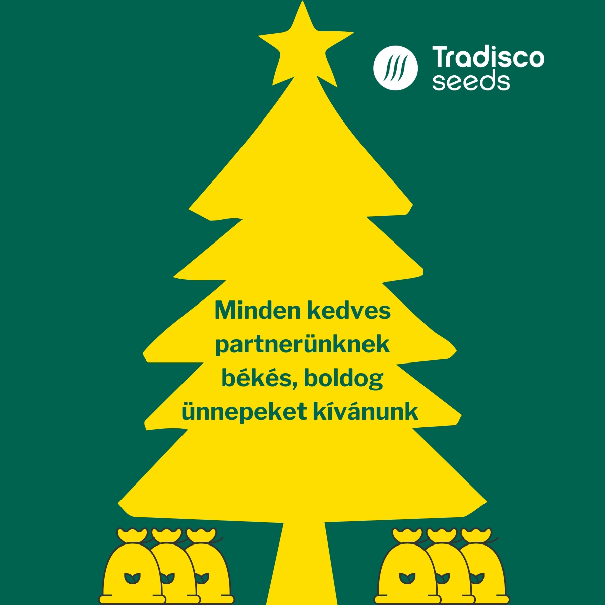 tradsico unnepi udvozlet