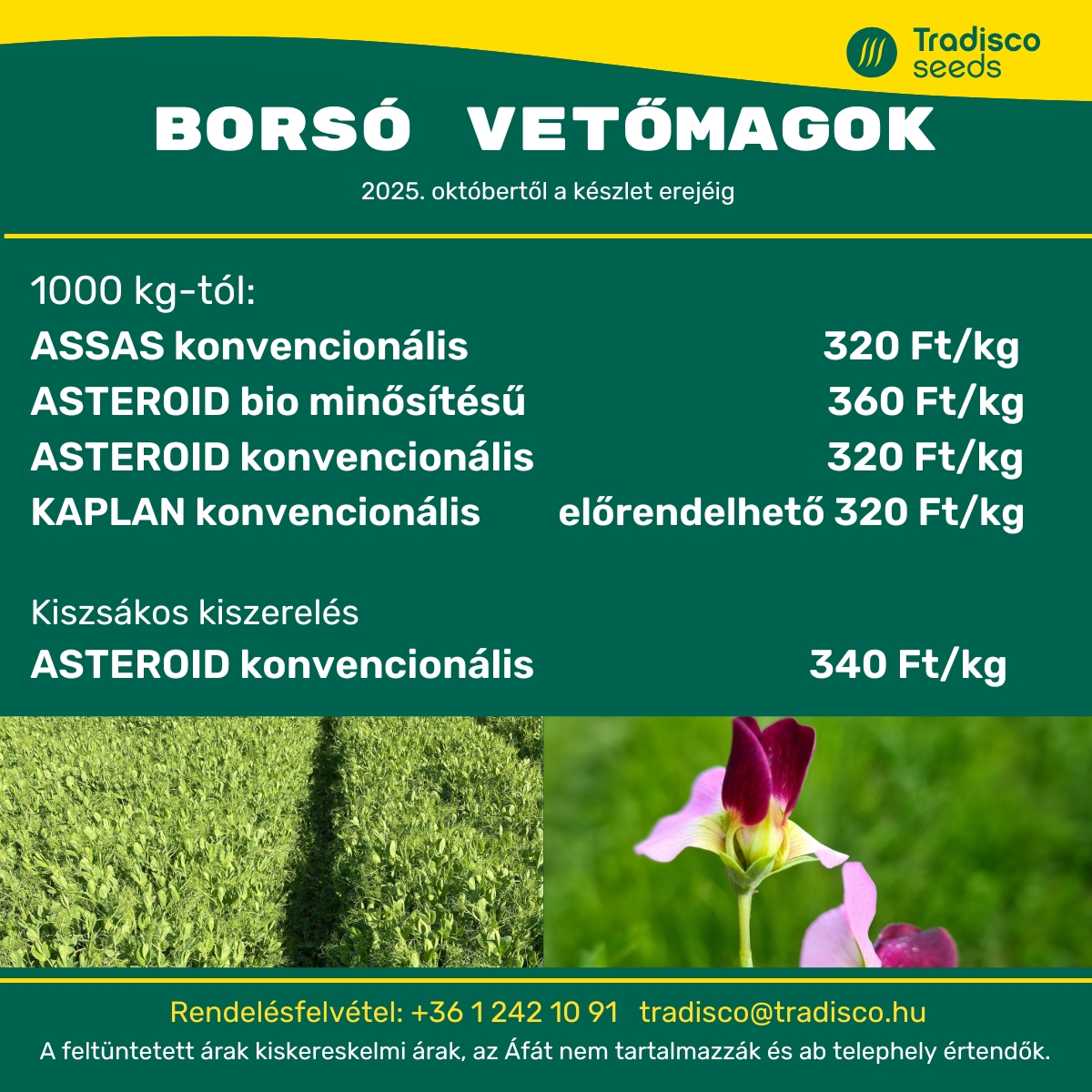 tradisco borso assas asteroid kaplan