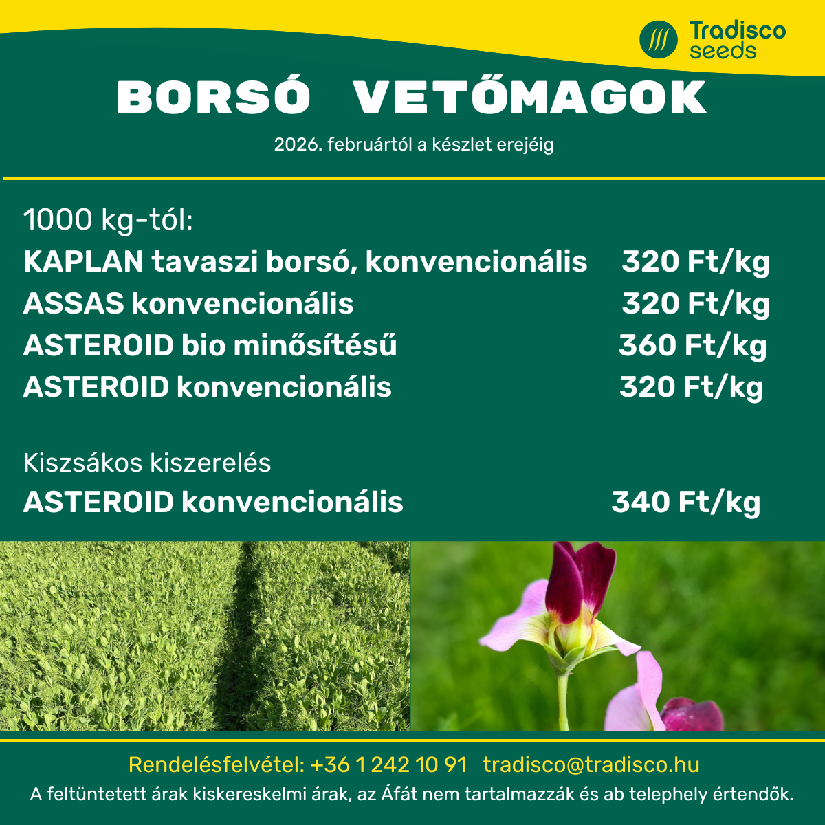 tradisco borso assas asteroid kaplan