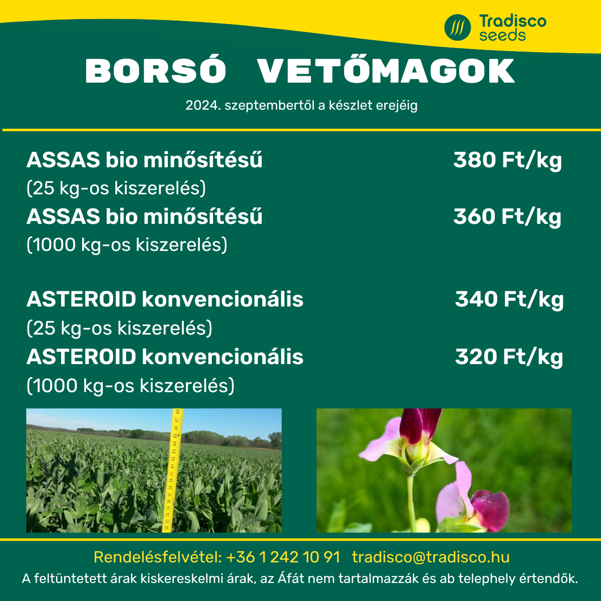 borsó árak ASSAS ASTEROID