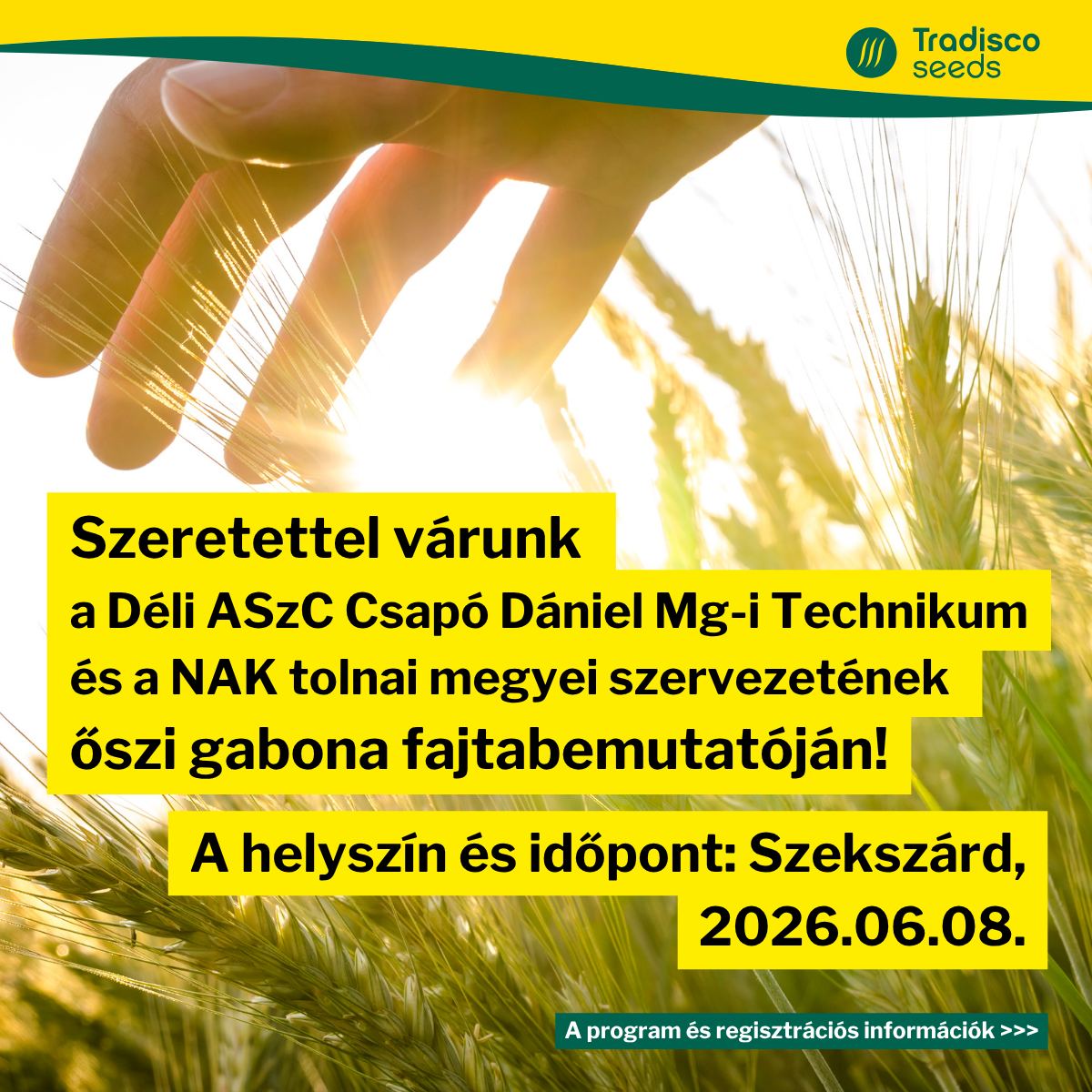 ŐSZI GABONA FAJTABEMUTATÓ Szekszárd 2026.06.08.