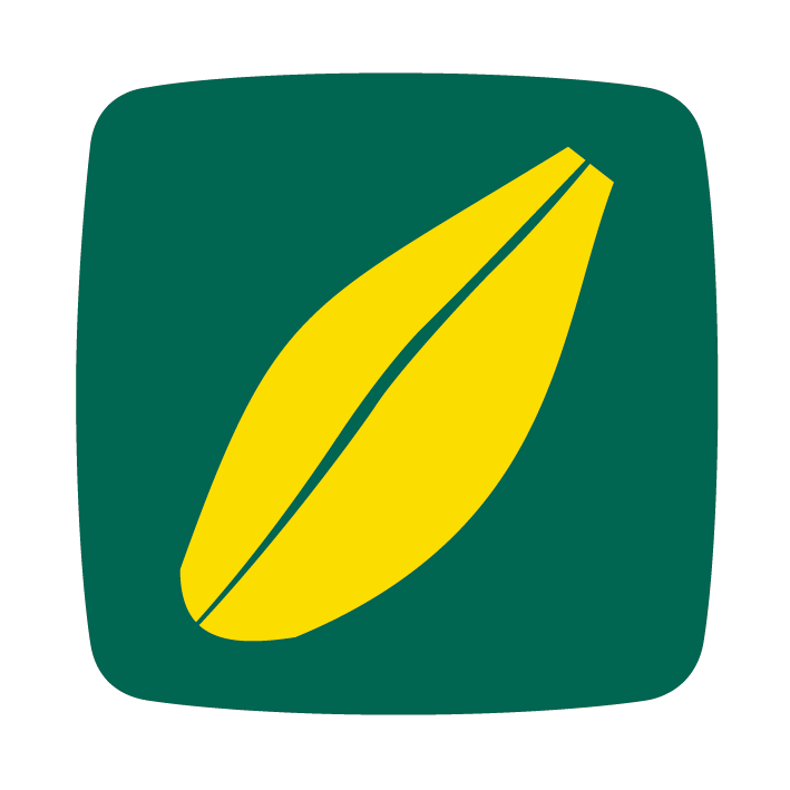 árpa orge barley icon
