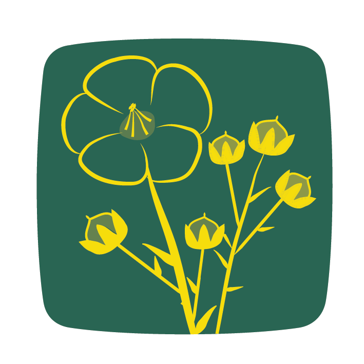 justess tradiscoseeds semenesdefrance icon
